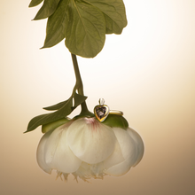 Carregar imagem no visualizador da galeria, Anel Frasco Coração Iolita