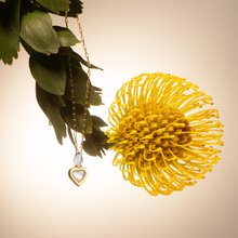 Carregar imagem no visualizador da galeria, Colar Frasco Coração Madrepérola Branca