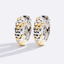 Carregar imagem no visualizador da galeria, Argola Gomos
